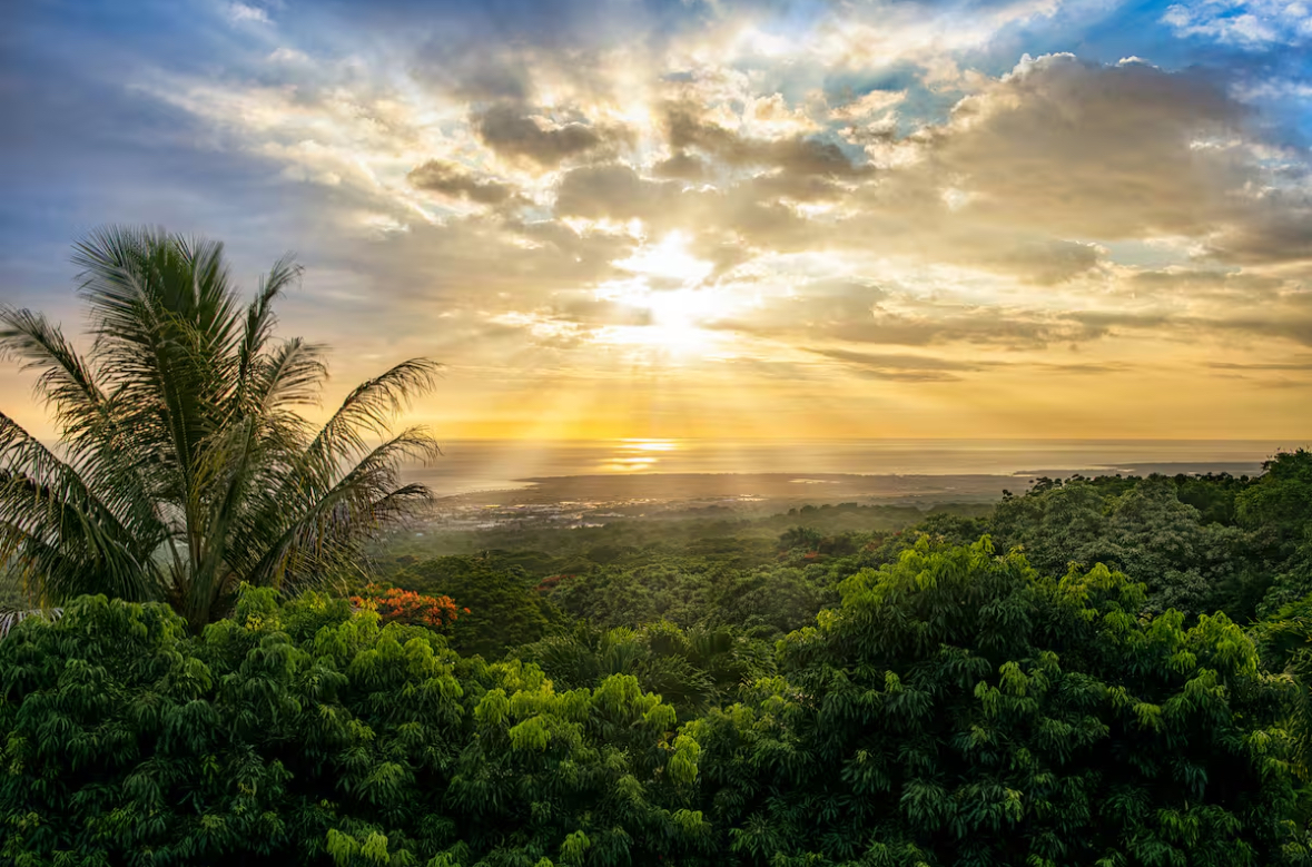 Sunrise view across tropical trees to the ocean below