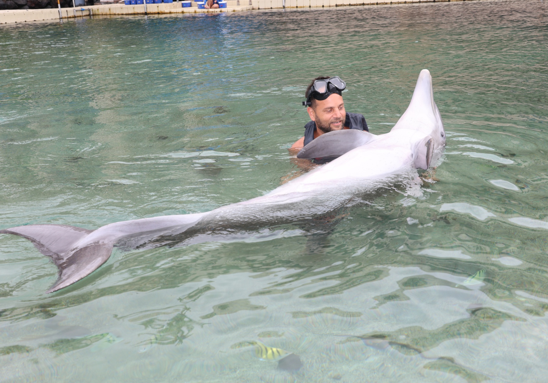 Jason swimming alongside a dolphin